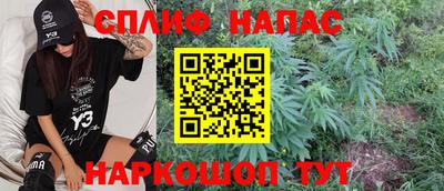 гидра Гай