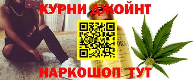 гидра Гай