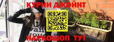 гидра Гай