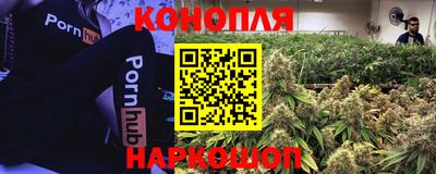 a pvp Гагарин