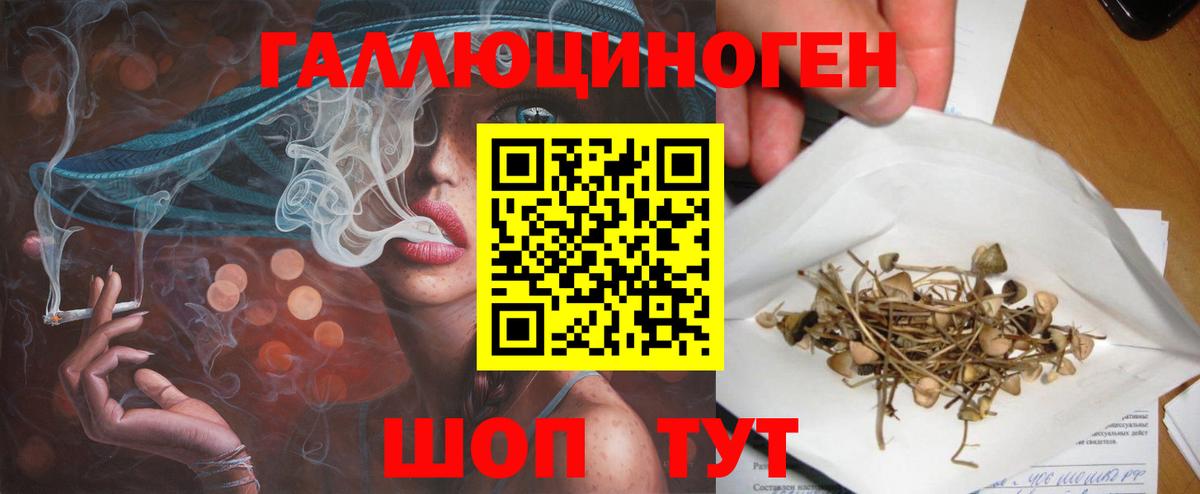 Можга  Галлюциногенные грибы MAGIC MUSHROOMS  Вход с VPN  Псилоцибиновые грибы мицелий 